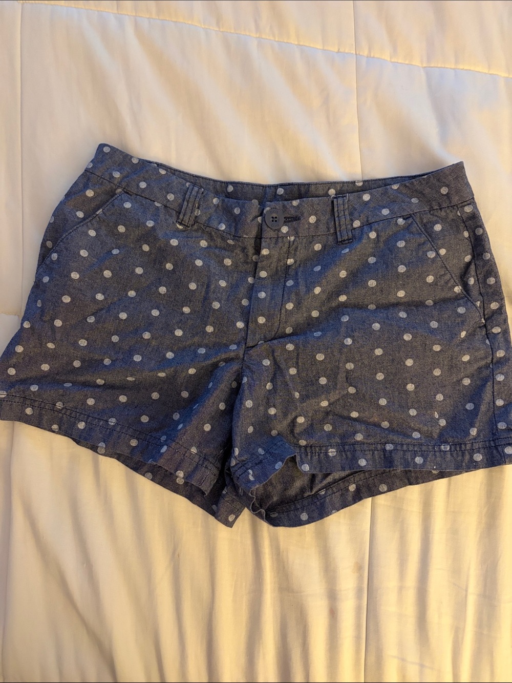 bcg Woman’s Blue And White Polka Dot 100% Cotton Shorts Size 10